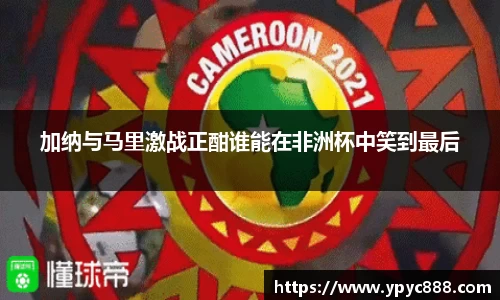 加纳与马里激战正酣谁能在非洲杯中笑到最后