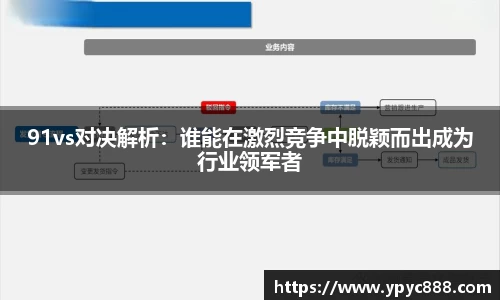 91vs对决解析：谁能在激烈竞争中脱颖而出成为行业领军者