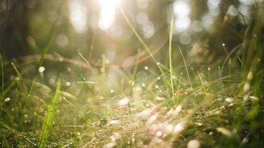 印尼巴士模拟器国产车辆模组 