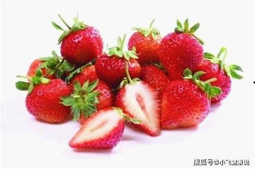 印尼巴士模拟器国产车辆模组 